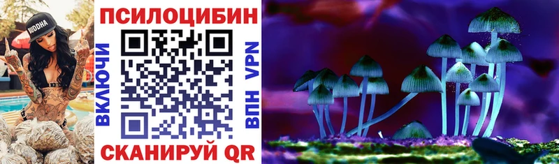 Галлюциногенные грибы Psilocybe  Оса 